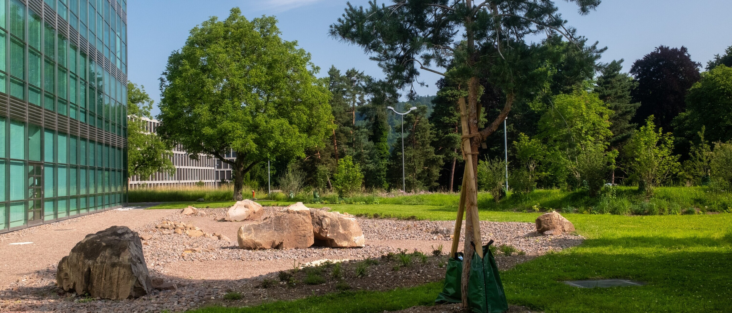 Marslandschaft auf dem Campus Brugg-Windisch der FHNW - gestaltet von Studierenden der Landschaftsarchitektur der OST (Foto: Sven Sari-Schnyder) Marslandschaft auf dem Campus Brugg-Windisch der FHNW - gestaltet von Studierenden der Landschaftsarchitektur der OST (Foto: Sven Sari-Schnyder)