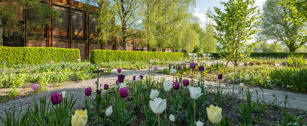 Campus Rapperswil Campus Rapperswil