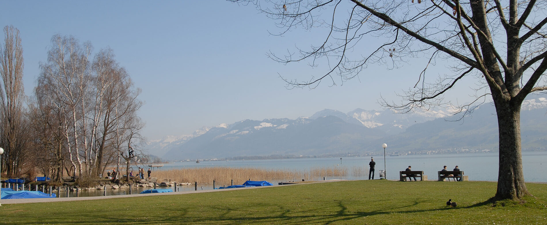 Der Campus Rapperswil liegt direkt am Zürichsee Der Campus Rapperswil liegt direkt am Zürichsee
