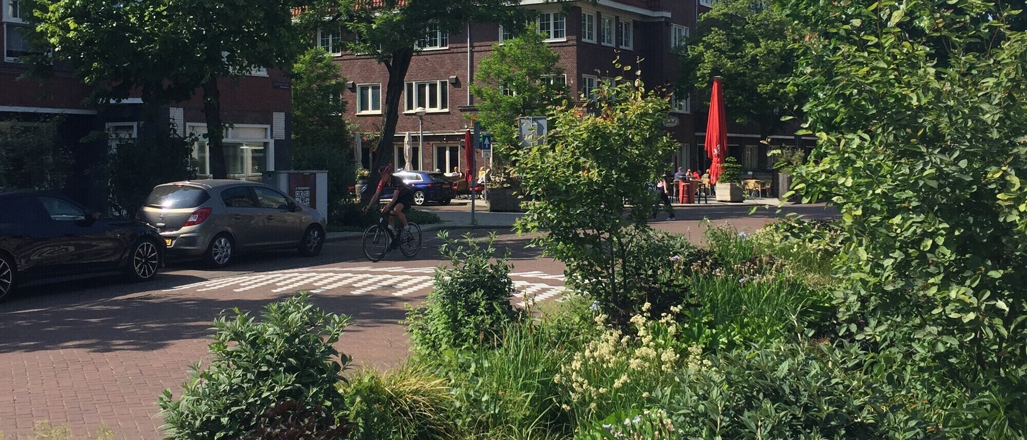 Grüne Infrastruktur als verkehrstrennendes Element fördert Sicherheit und Qualität