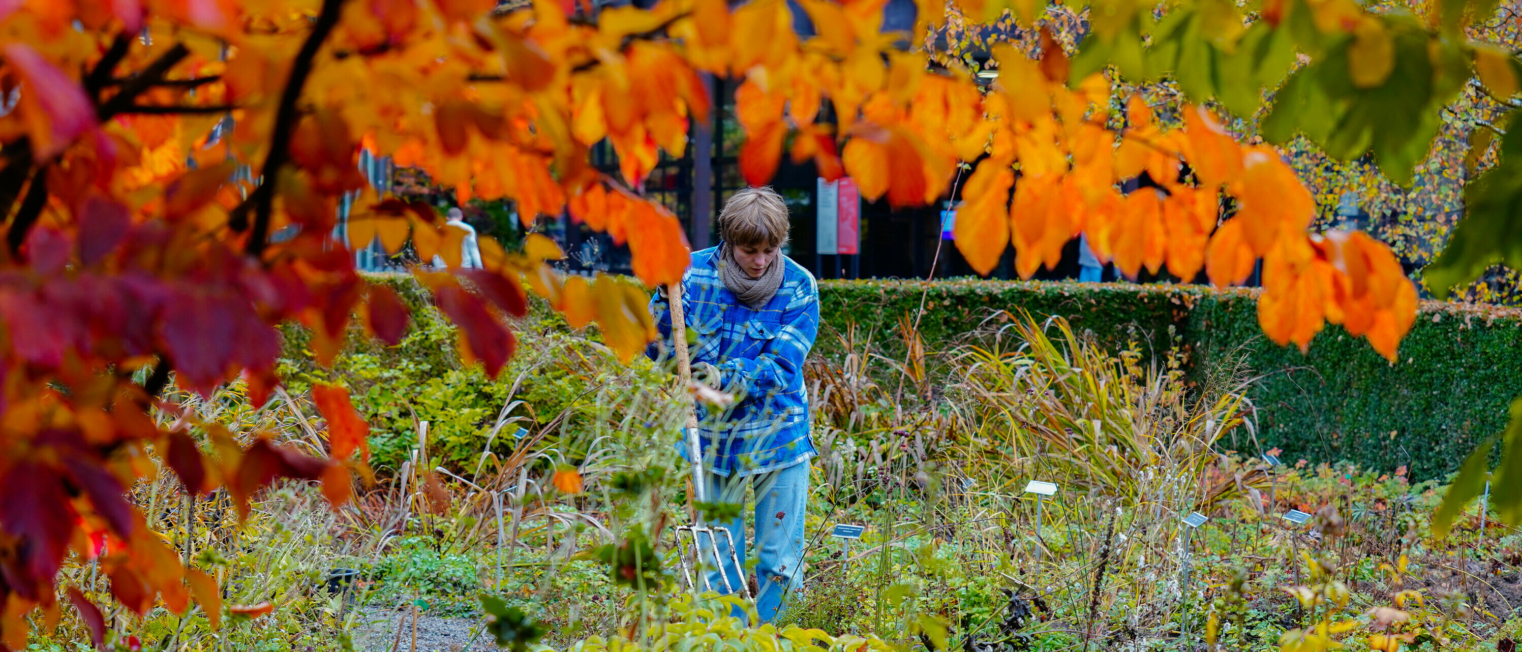 Herbstpflanzaktion der PflanzAG der OST