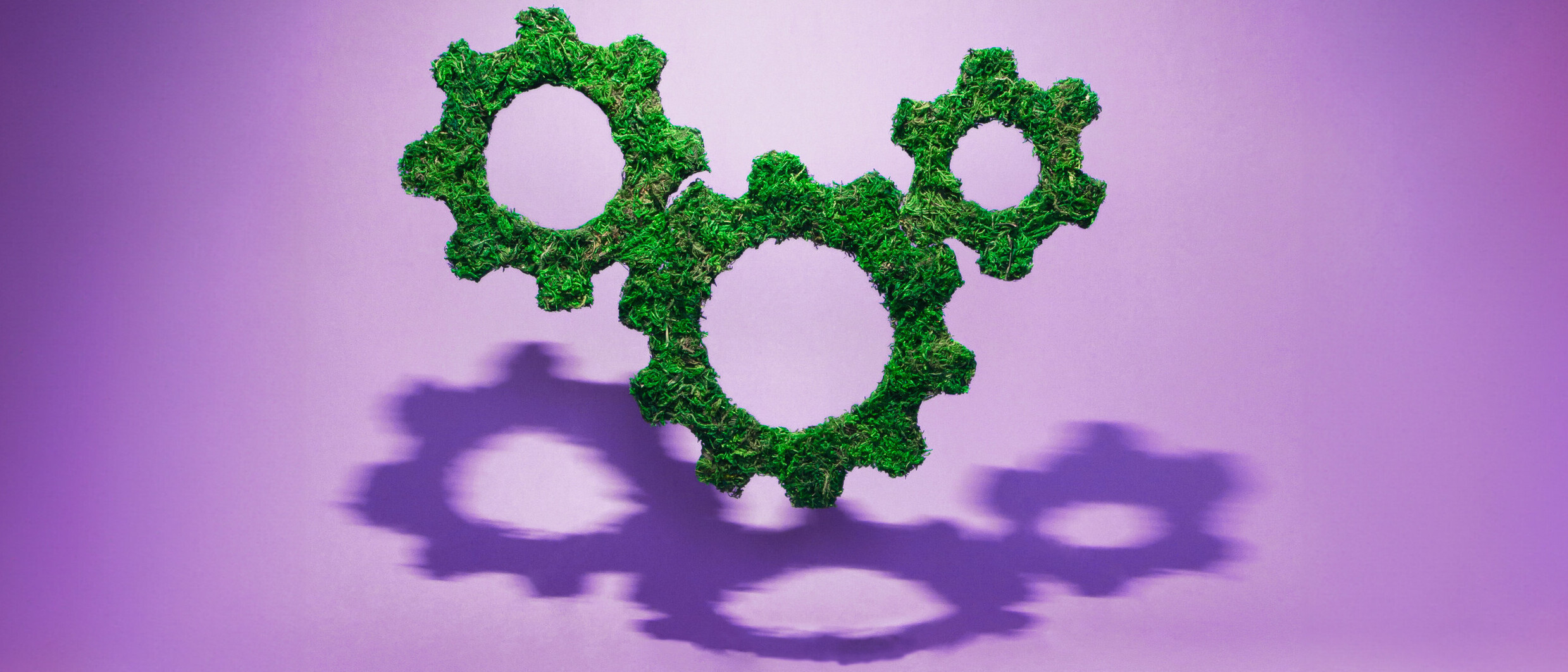 Neue ISO-Norm für die Kreislaufwirtschaft.