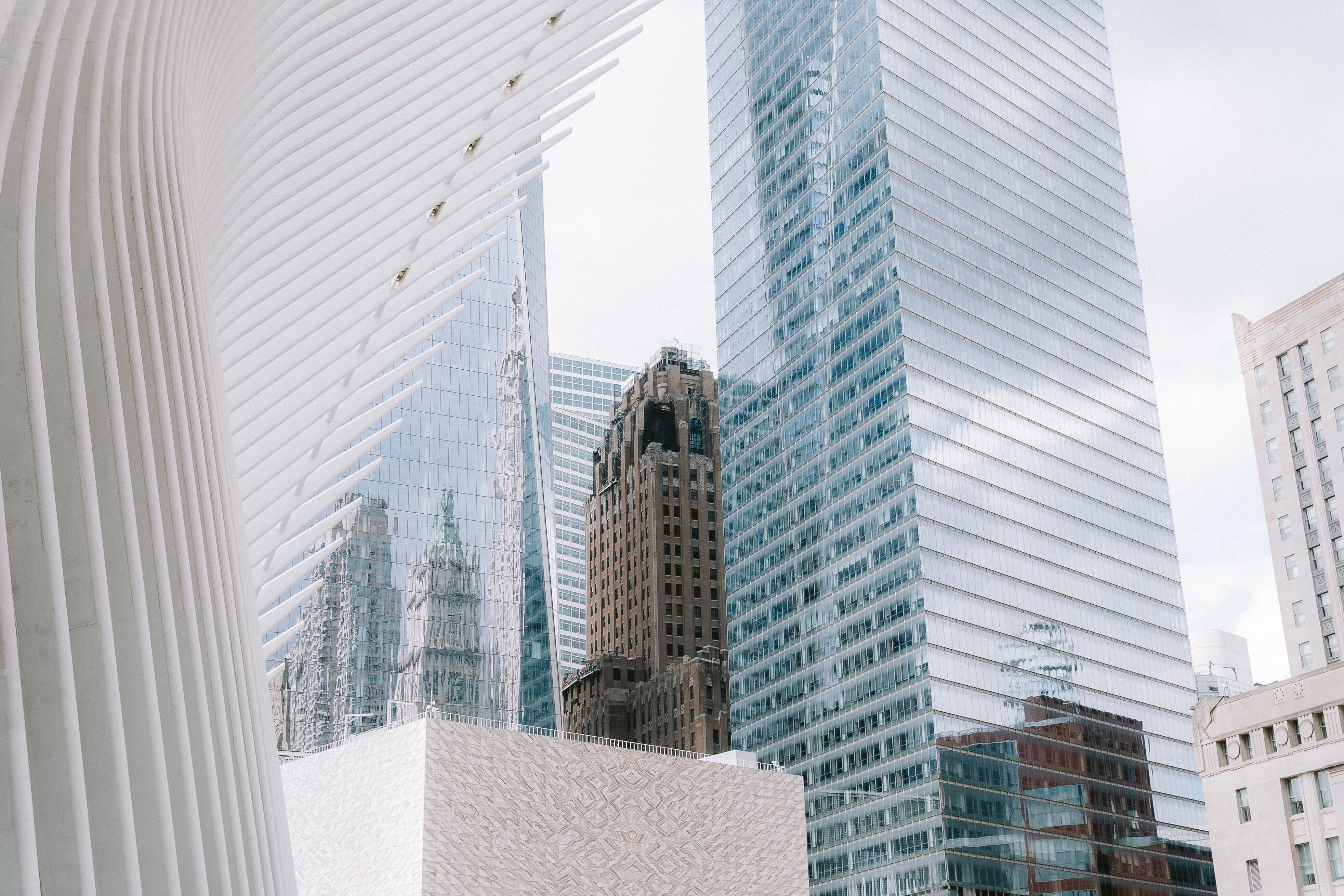 Vertiefung «Gesellschaftlicher Wandel und Soziale Arbeit» Vertiefung «Gesellschaftlicher Wandel und Soziale Arbeit»