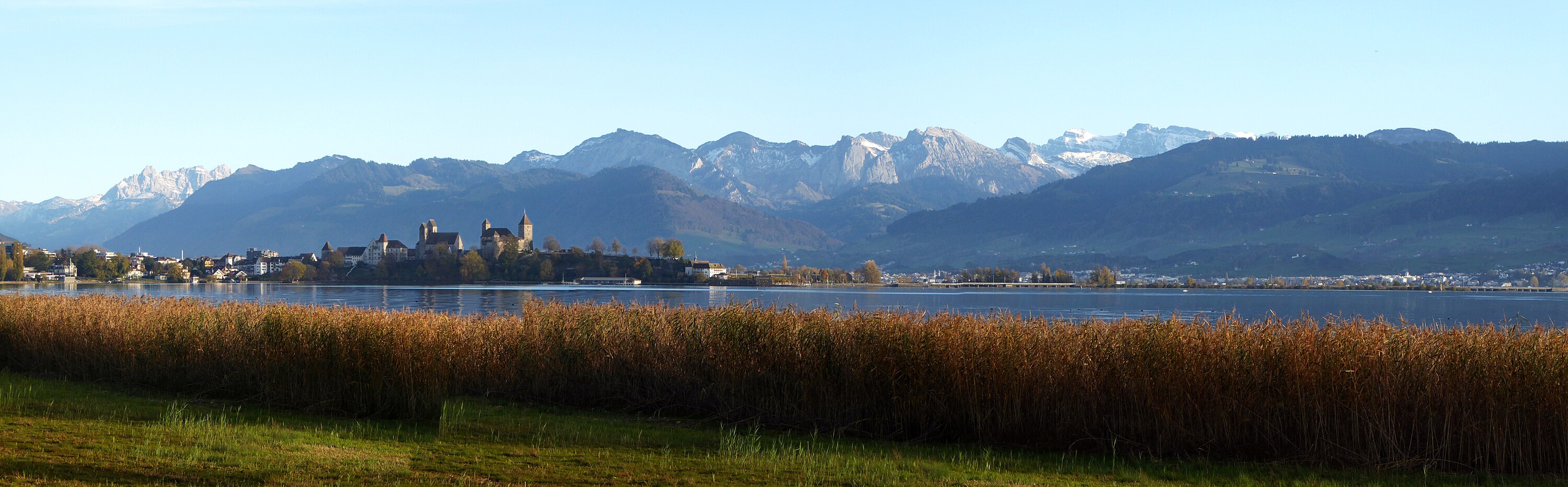 Header Image SPF Veranstaltung ReMeF-Symposium