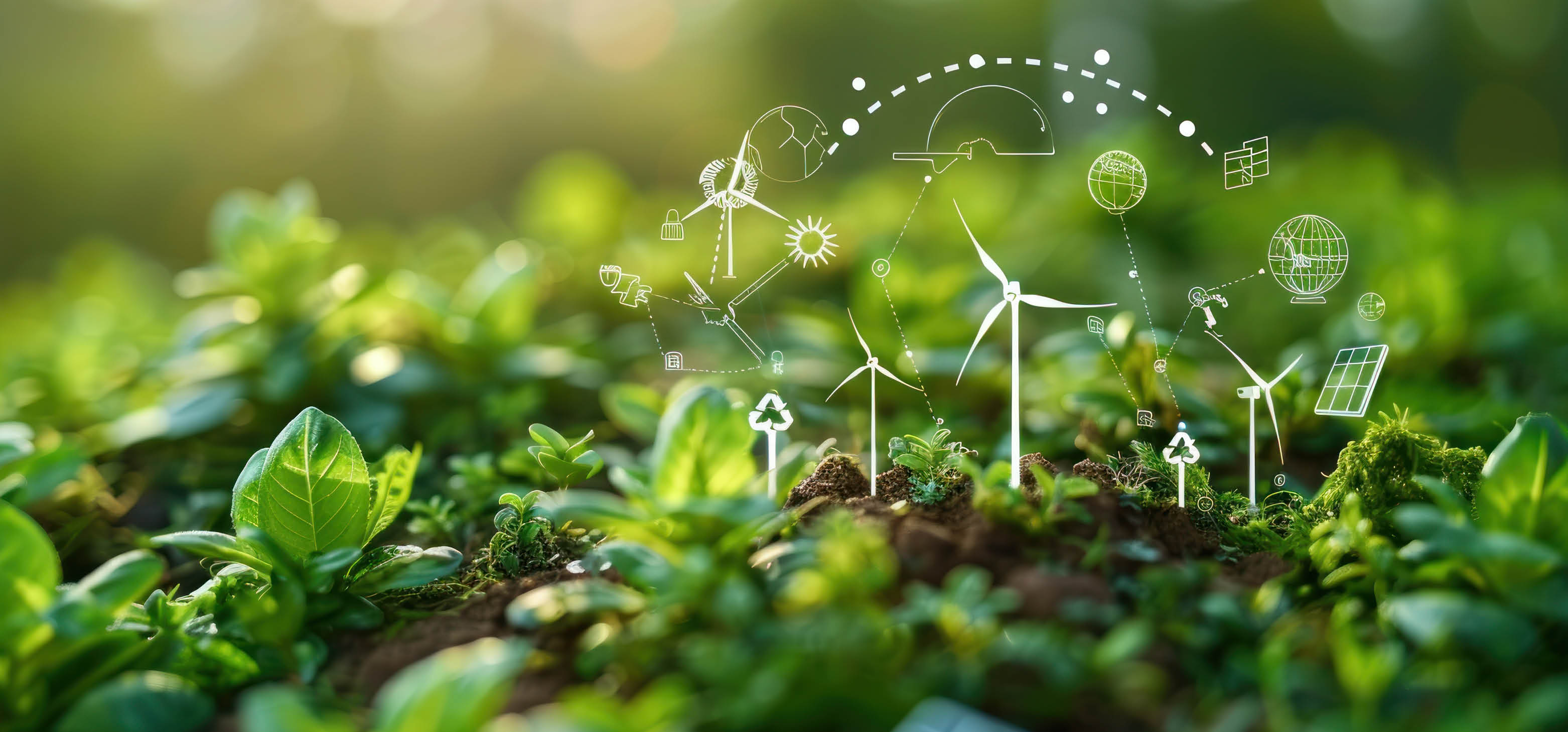 Klima und Energie dargestellt mit Pflanzen und Symbolen wie Windrädern